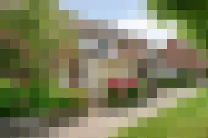 Gouwe 24 Heerhugowaard thumbnail 8