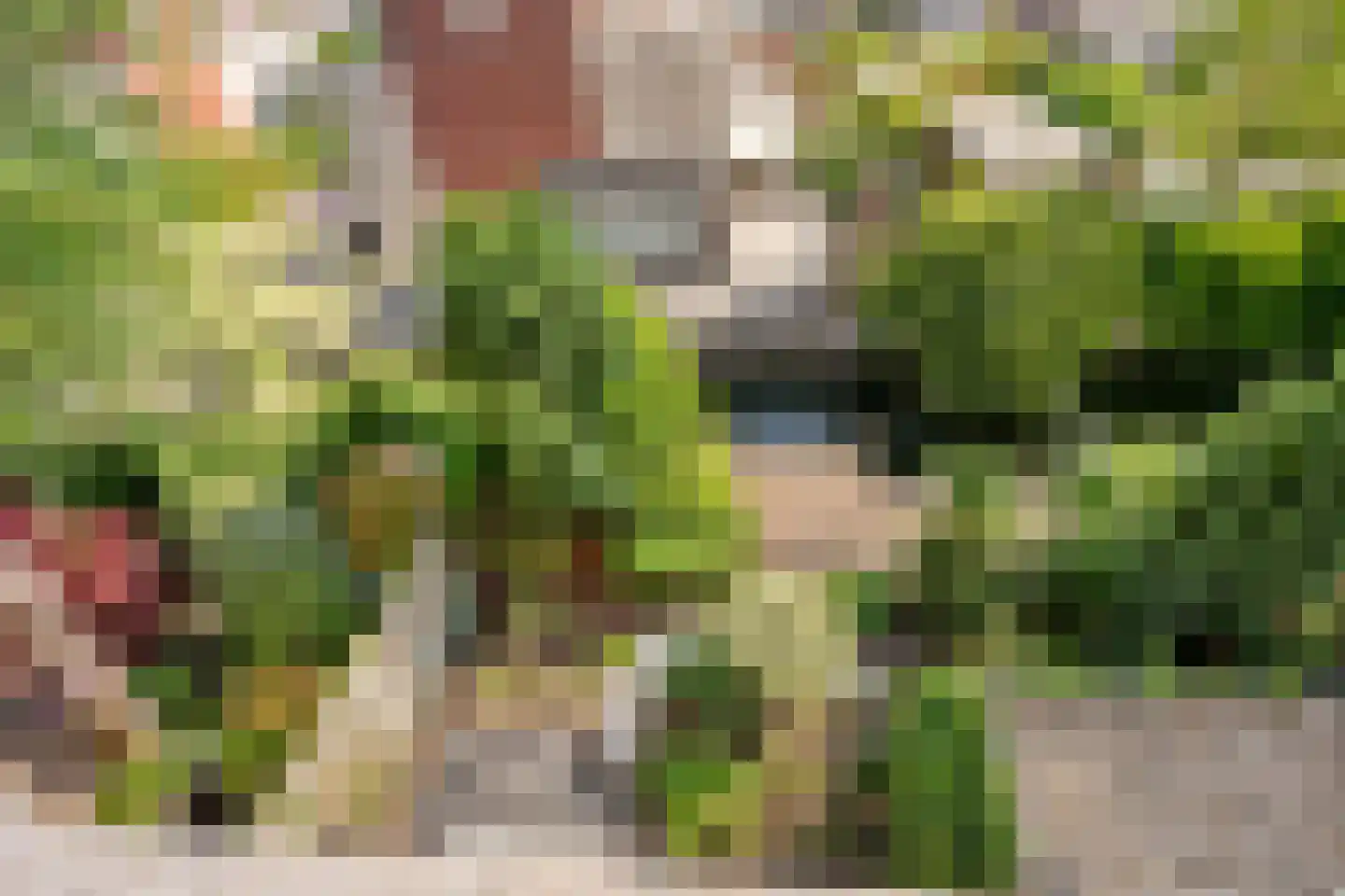 Gouwe 27 Nieuwerkerk aan den IJssel thumbnail 37