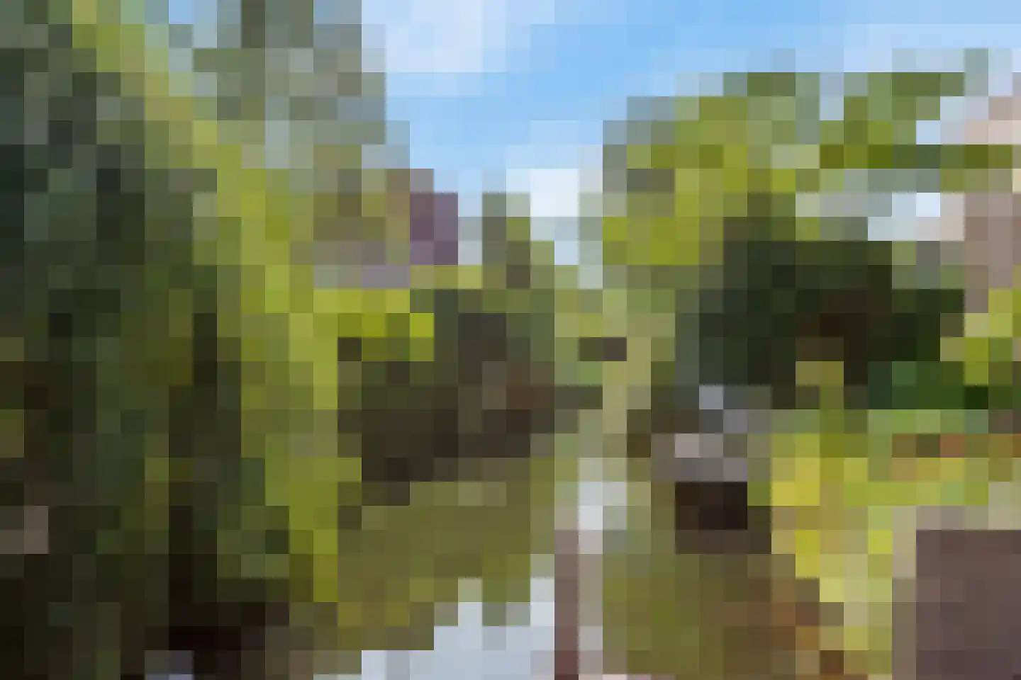 Gouwe 27 Nieuwerkerk aan den IJssel thumbnail 42