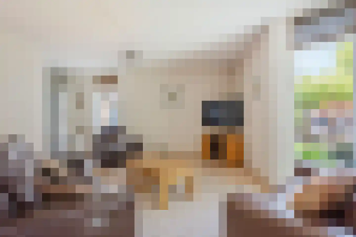 Gouwe 27 Nieuwerkerk aan den IJssel thumbnail 6