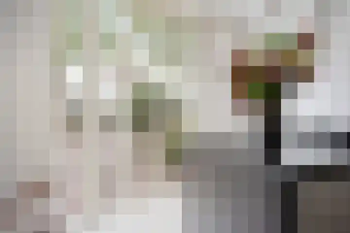 Gouwe 33 Nieuwerkerk aan den IJssel thumbnail 16