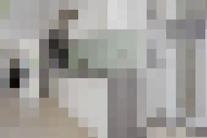 Gouwe 33 Nieuwerkerk aan den IJssel thumbnail 17