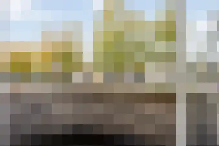 Gouwe 33 Nieuwerkerk aan den IJssel thumbnail 19