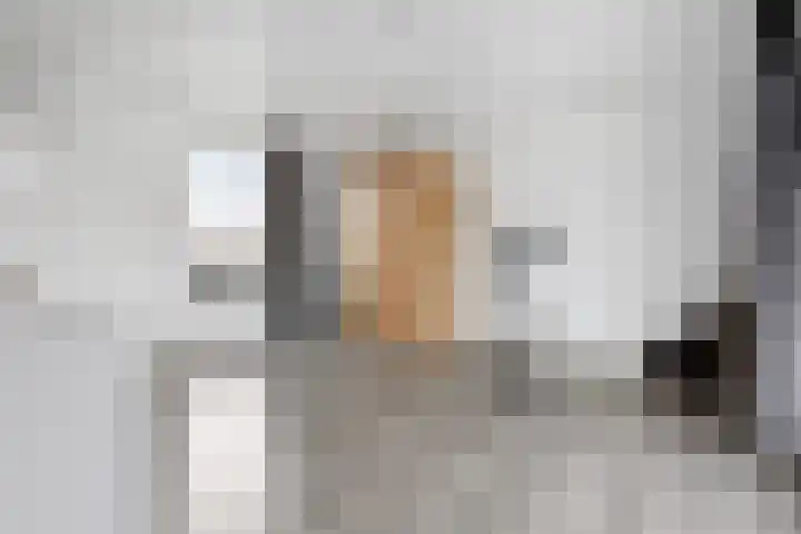 Gouwe 33 Nieuwerkerk aan den IJssel thumbnail 31