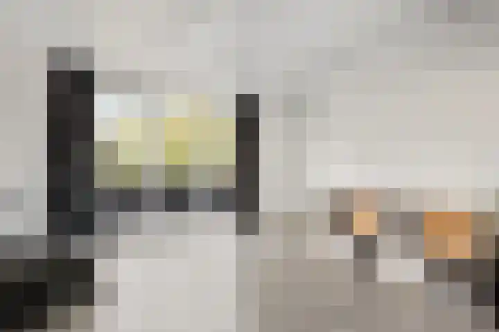 Gouwe 33 Nieuwerkerk aan den IJssel thumbnail 32
