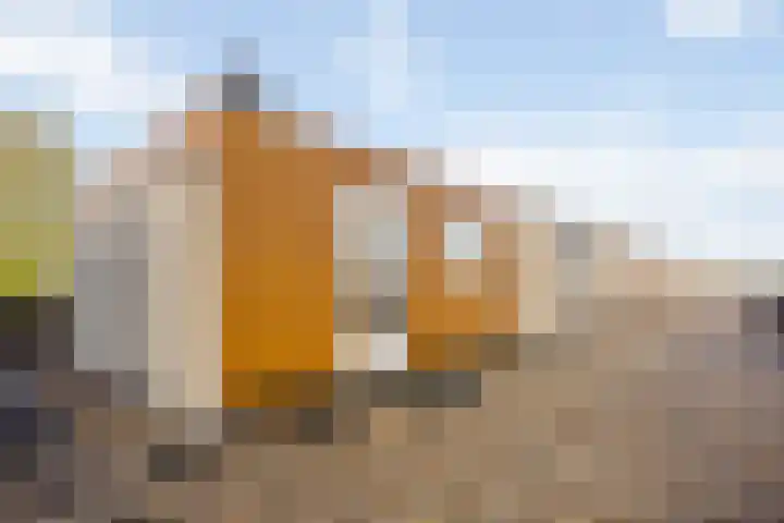Gouwe 33 Nieuwerkerk aan den IJssel thumbnail 33