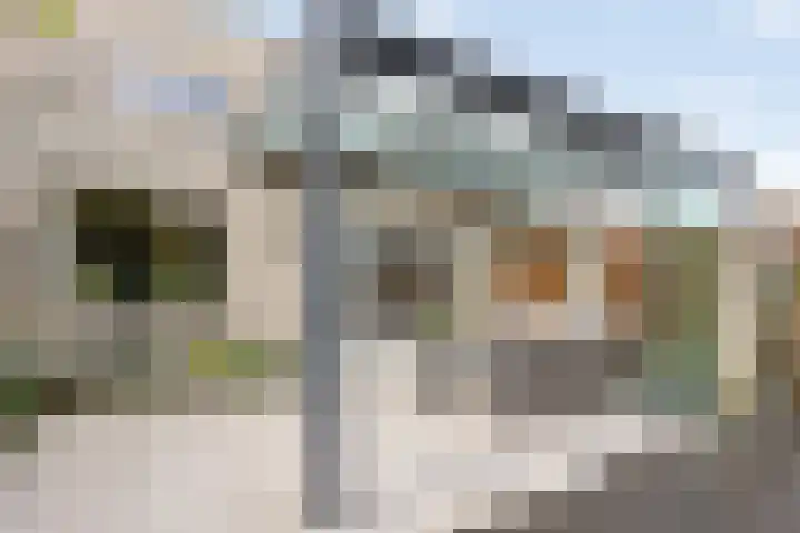 Gouwe 33 Nieuwerkerk aan den IJssel thumbnail 39