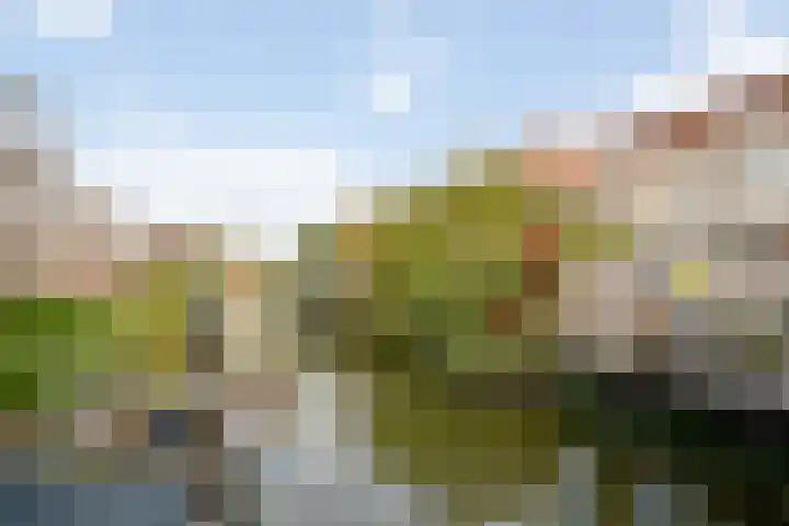 Gouwe 33 Nieuwerkerk aan den IJssel thumbnail 41