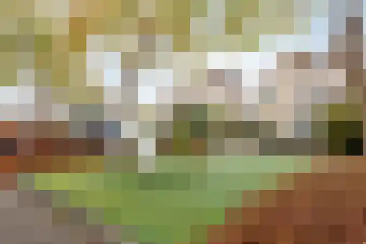 Gouwe 33 Nieuwerkerk aan den IJssel thumbnail 44