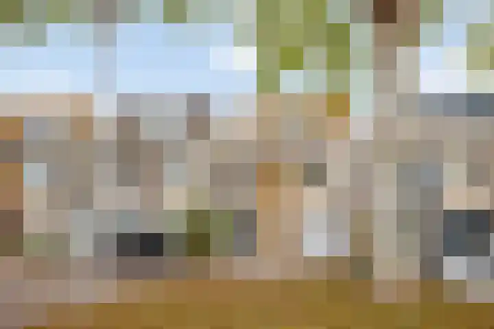 Gouwe 33 Nieuwerkerk aan den IJssel thumbnail 5