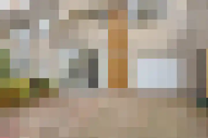 Gouwe 33 Nieuwerkerk aan den IJssel thumbnail 7