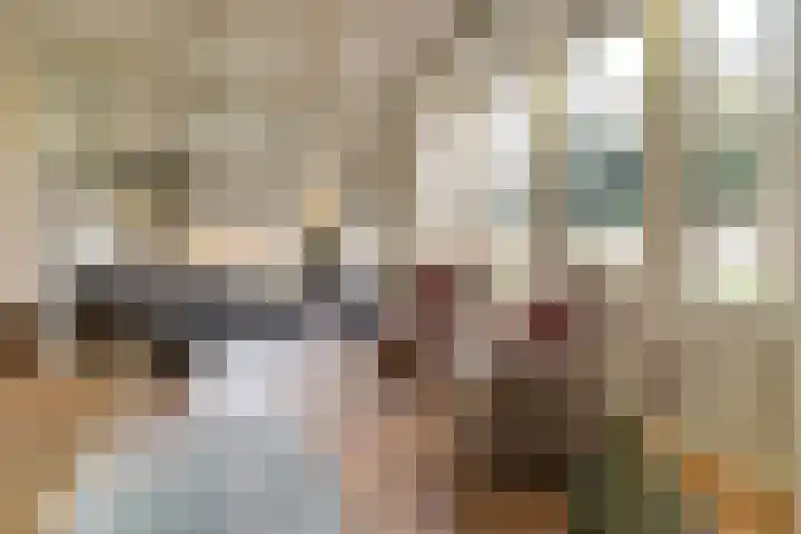 Gouwe 38 Hoogwoud thumbnail 11