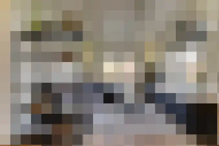 Gouwe 38 Hoogwoud thumbnail 12