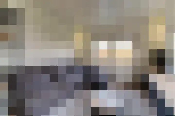 Gouwe 38 Hoogwoud thumbnail 13