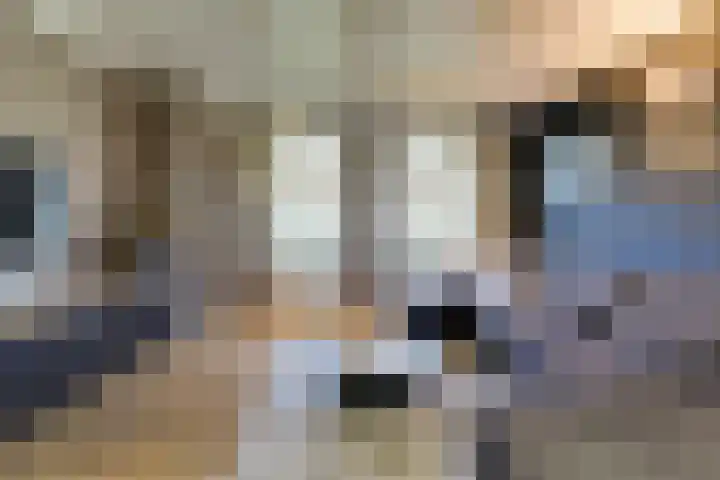 Gouwe 38 Hoogwoud thumbnail 19