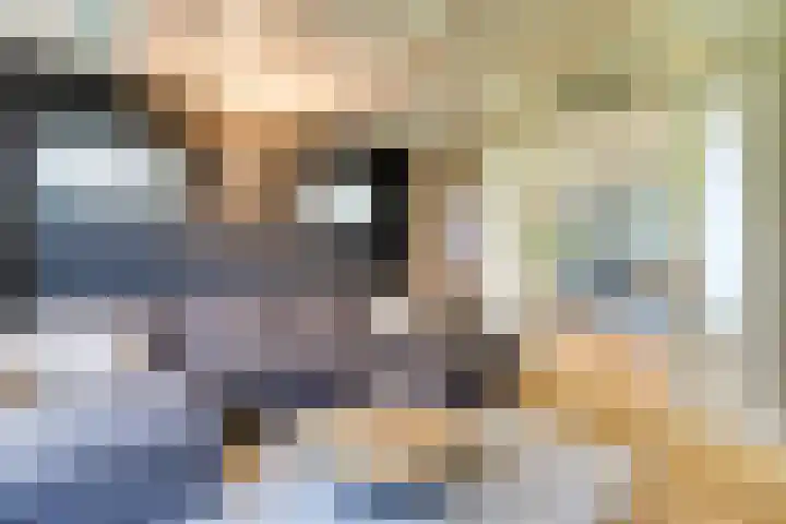 Gouwe 38 Hoogwoud thumbnail 20