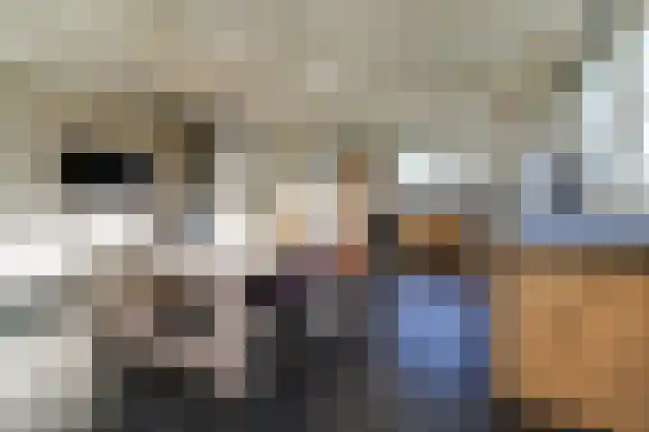 Gouwe 38 Hoogwoud thumbnail 25