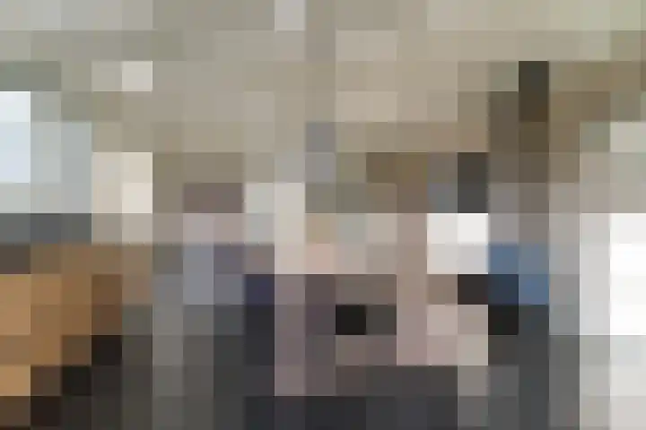 Gouwe 38 Hoogwoud thumbnail 30