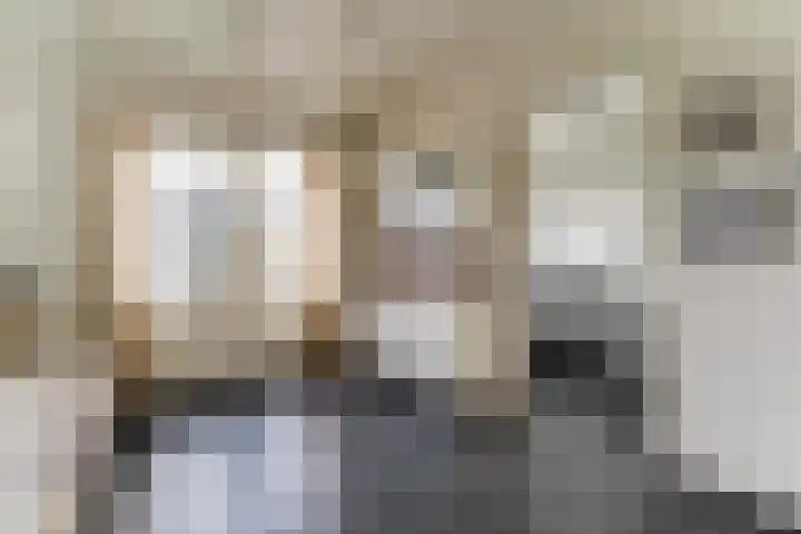Gouwe 38 Hoogwoud thumbnail 31