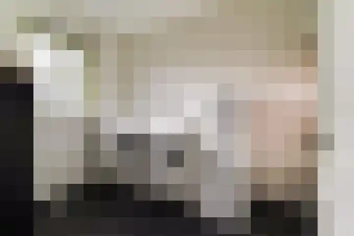 Gouwe 38 Hoogwoud thumbnail 32