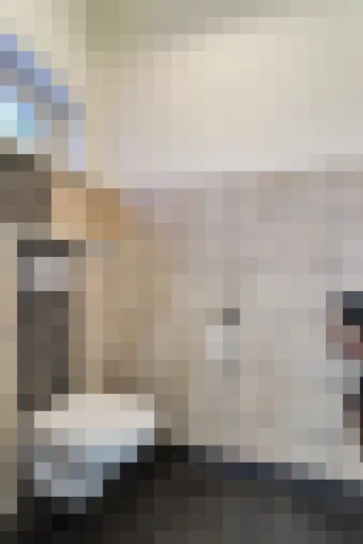 Gouwe 38 Hoogwoud thumbnail 34
