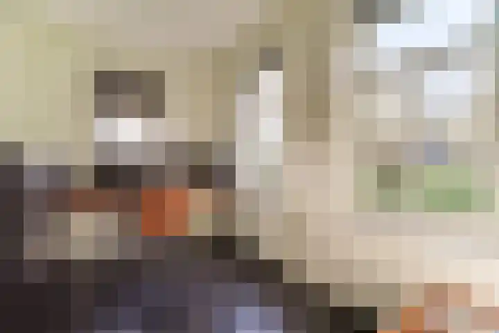 Gouwe 38 Hoogwoud thumbnail 35