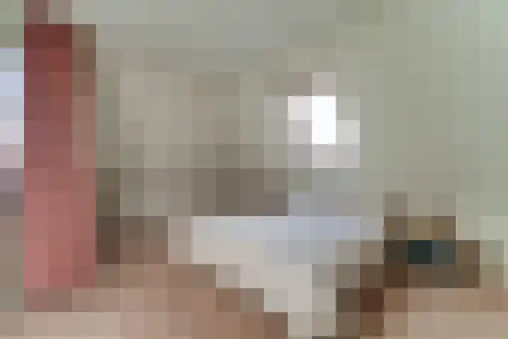Gouwe 38 Hoogwoud thumbnail 41