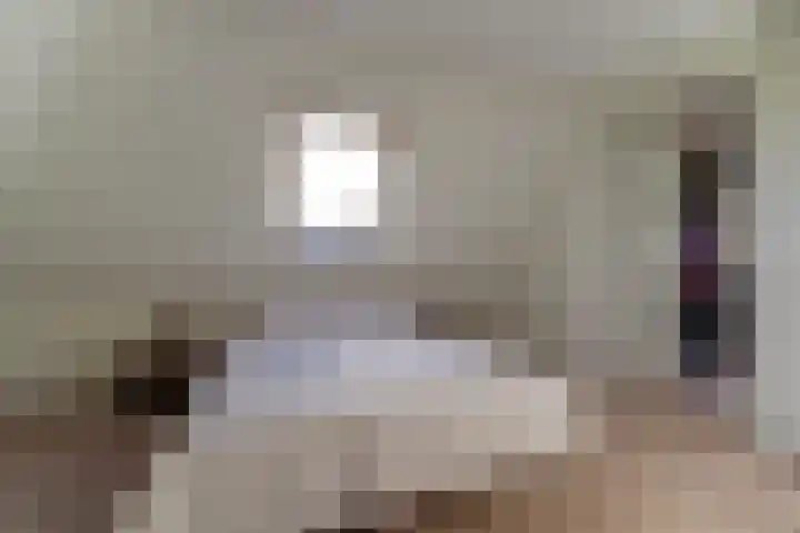 Gouwe 38 Hoogwoud thumbnail 42