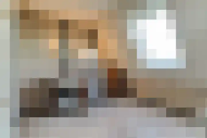 Gouwe 38 Hoogwoud thumbnail 48
