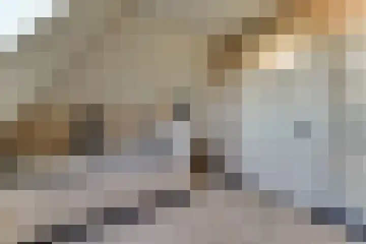 Gouwe 38 Hoogwoud thumbnail 50