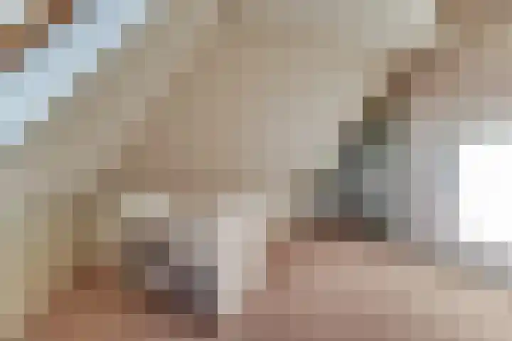 Gouwe 38 Hoogwoud thumbnail 55