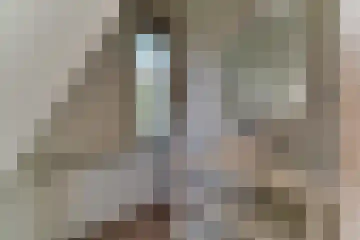 Gouwe 38 Hoogwoud thumbnail 56