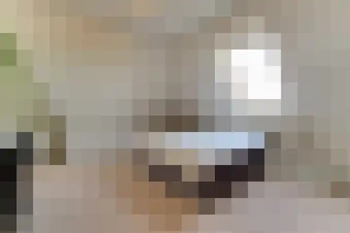 Gouwe 38 Hoogwoud thumbnail 58