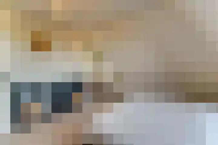 Gouwe 38 Hoogwoud thumbnail 59