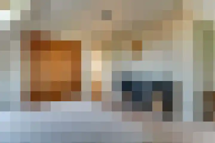 Gouwe 38 Hoogwoud thumbnail 60