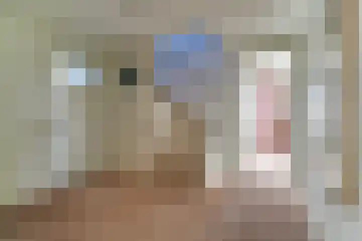 Gouwe 38 Hoogwoud thumbnail 65