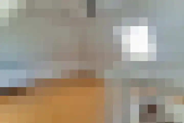 Gouwe 38 Hoogwoud thumbnail 69