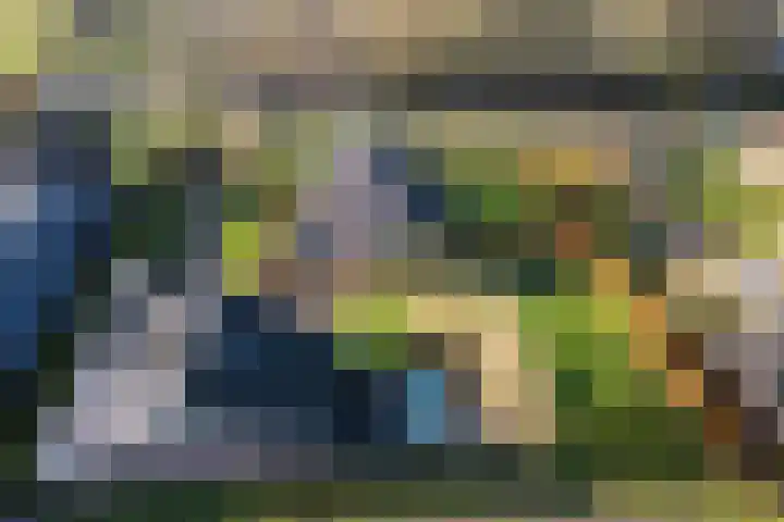 Gouwe 38 Hoogwoud thumbnail 70