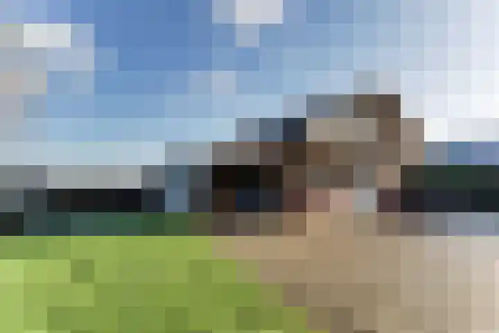 Gouwe 38 Hoogwoud thumbnail 74