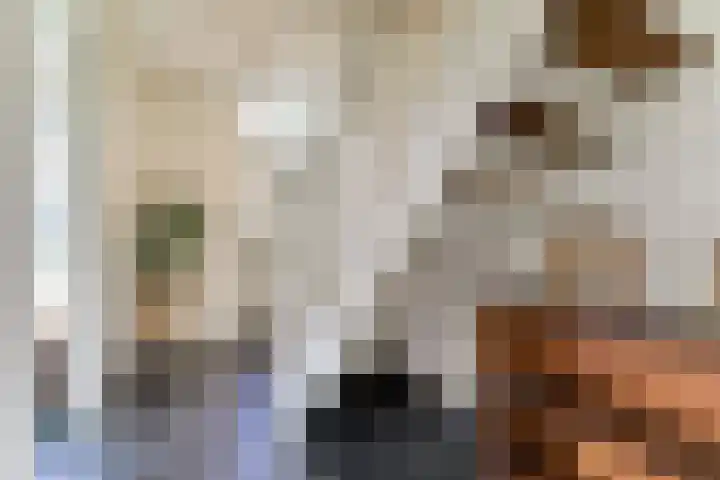 Gouwe 38 Hoogwoud thumbnail 8