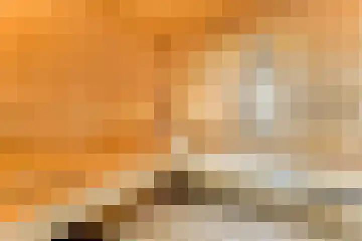 Gouwe 38 Hoogwoud thumbnail 81
