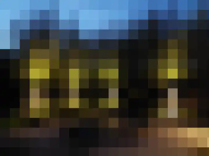 Gouwe 38 Hoogwoud thumbnail 83