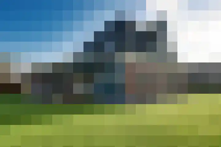 Gouwe 38 Hoogwoud thumbnail 85