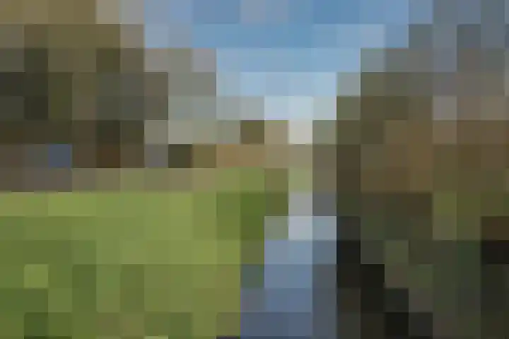 Gouwe 38 Hoogwoud thumbnail 87