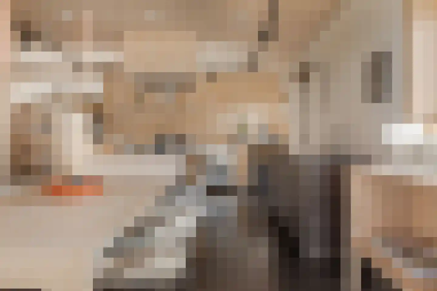 Gouwe 39 Hoogwoud thumbnail 10