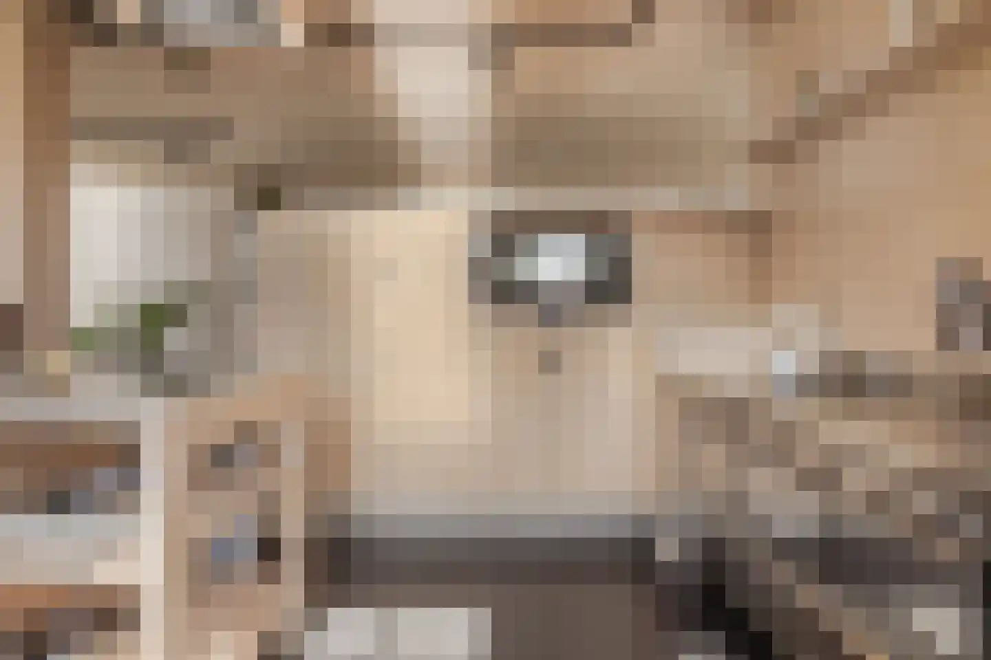 Gouwe 39 Hoogwoud thumbnail 12