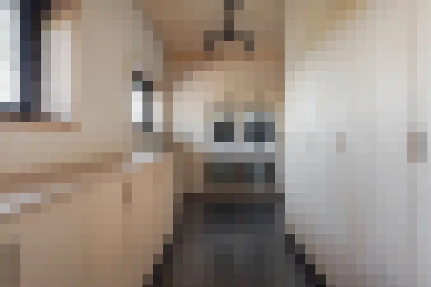 Gouwe 39 Hoogwoud thumbnail 16
