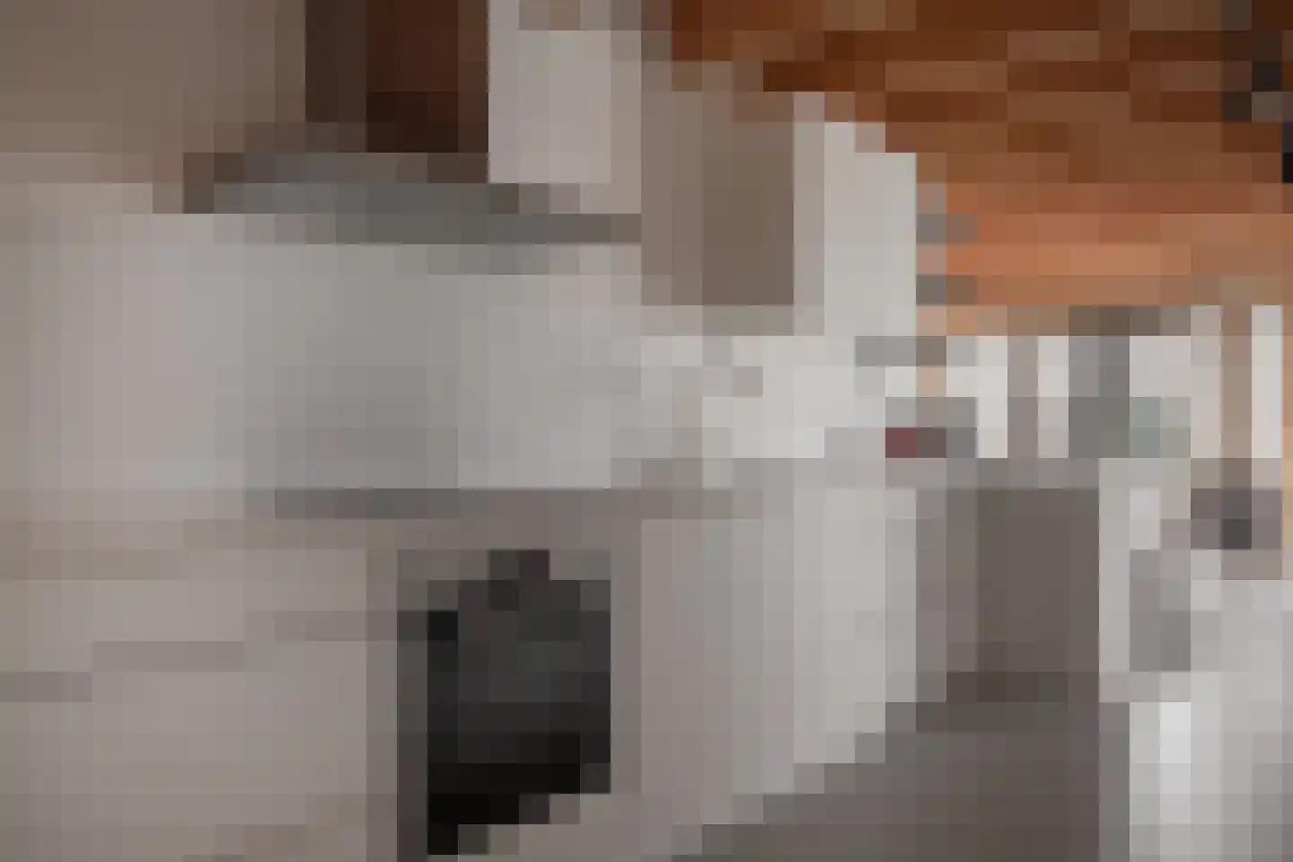 Gouwe 39 Hoogwoud thumbnail 45