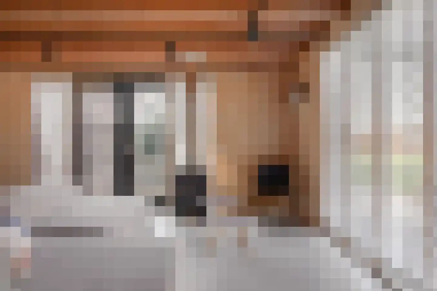 Gouwe 39 Hoogwoud thumbnail 46