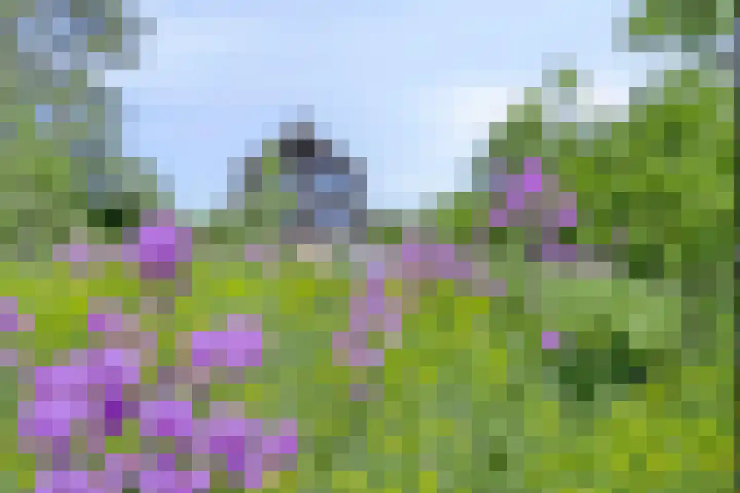 Gouwe 39 Hoogwoud thumbnail 53